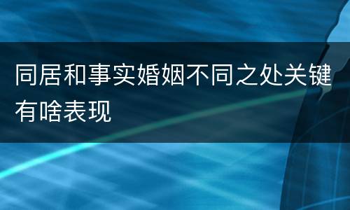 同居和事实婚姻不同之处关键有啥表现