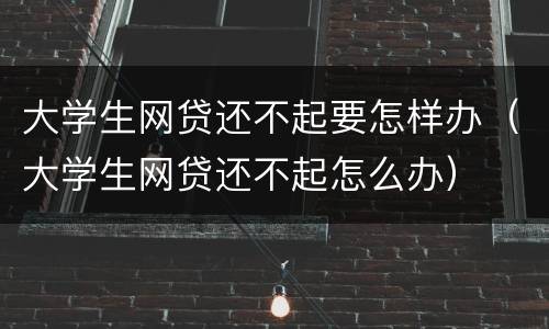 大学生网贷还不起要怎样办（大学生网贷还不起怎么办）