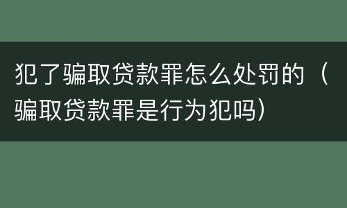 犯了骗取贷款罪怎么处罚的（骗取贷款罪是行为犯吗）