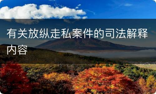 有关放纵走私案件的司法解释内容