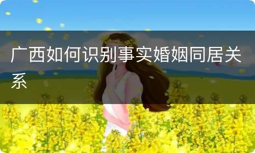 广西如何识别事实婚姻同居关系