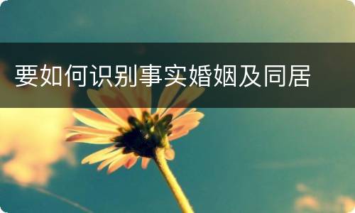 要如何识别事实婚姻及同居