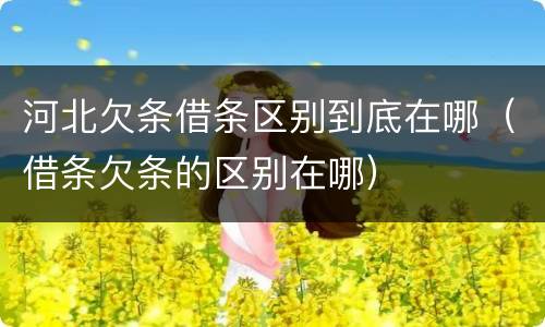 河北欠条借条区别到底在哪（借条欠条的区别在哪）