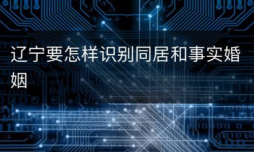 辽宁要怎样识别同居和事实婚姻