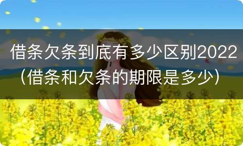 借条欠条到底有多少区别2022（借条和欠条的期限是多少）
