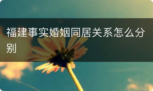 福建事实婚姻同居关系怎么分别