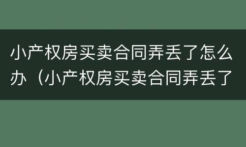 小产权房买卖合同弄丢了怎么办（小产权房买卖合同弄丢了怎么办啊）