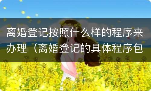 离婚登记按照什么样的程序来办理（离婚登记的具体程序包括）