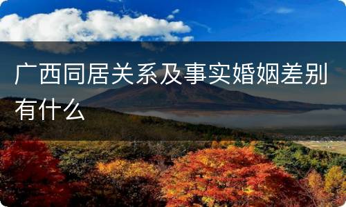 广西同居关系及事实婚姻差别有什么