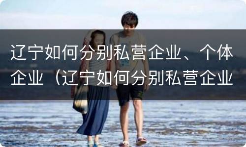 辽宁如何分别私营企业、个体企业（辽宁如何分别私营企业,个体企业呢）