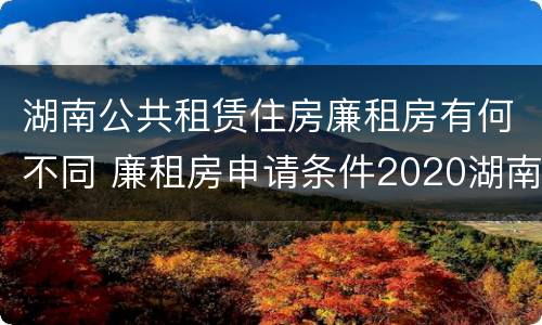 湖南公共租赁住房廉租房有何不同 廉租房申请条件2020湖南