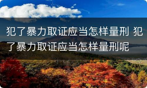 犯了暴力取证应当怎样量刑 犯了暴力取证应当怎样量刑呢