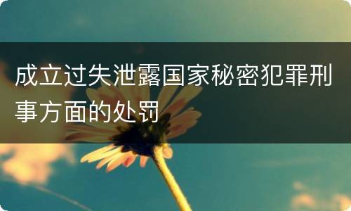 成立过失泄露国家秘密犯罪刑事方面的处罚
