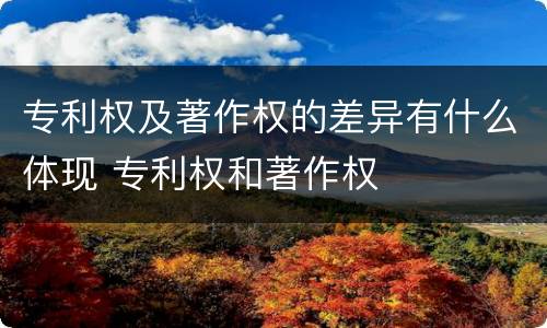 专利权及著作权的差异有什么体现 专利权和著作权