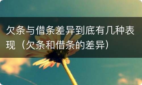 欠条与借条差异到底有几种表现（欠条和借条的差异）