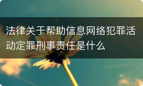 法律关于帮助信息网络犯罪活动定罪刑事责任是什么