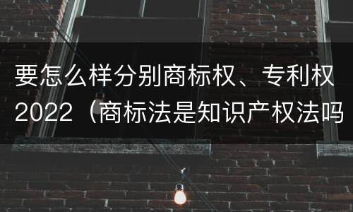 要怎么样分别商标权、专利权2022（商标法是知识产权法吗）