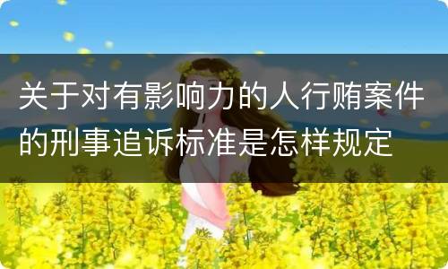 关于对有影响力的人行贿案件的刑事追诉标准是怎样规定