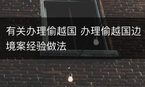 有关办理偷越国 办理偷越国边境案经验做法