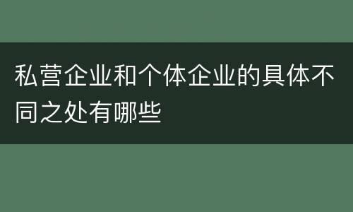 私营企业和个体企业的具体不同之处有哪些