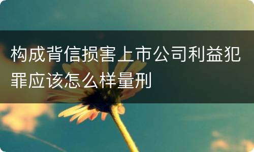 构成背信损害上市公司利益犯罪应该怎么样量刑