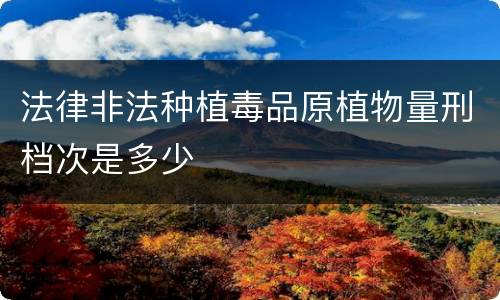 法律非法种植毒品原植物量刑档次是多少