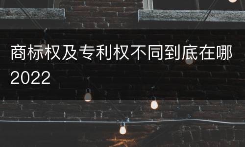 商标权及专利权不同到底在哪2022
