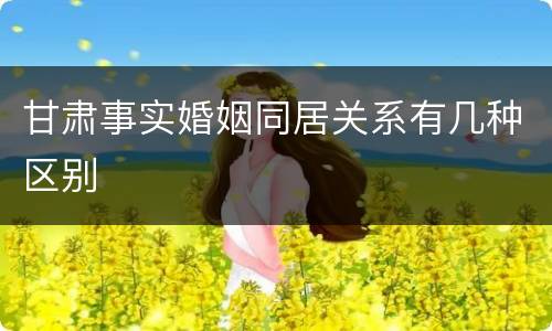 甘肃事实婚姻同居关系有几种区别