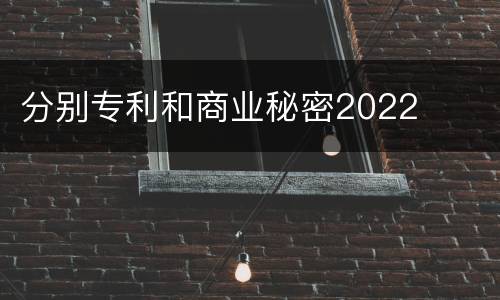 分别专利和商业秘密2022