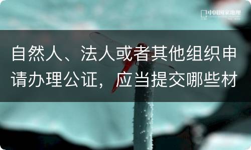 自然人、法人或者其他组织申请办理公证，应当提交哪些材料