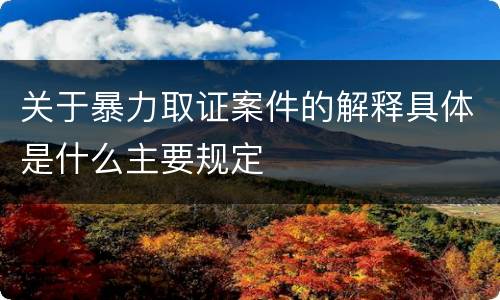 关于暴力取证案件的解释具体是什么主要规定