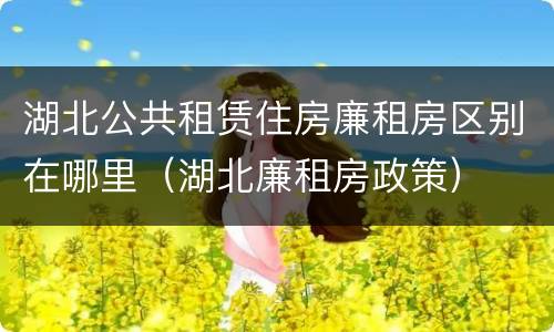 湖北公共租赁住房廉租房区别在哪里（湖北廉租房政策）