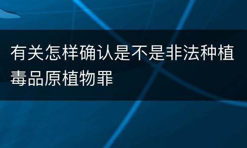 有关怎样确认是不是非法种植毒品原植物罪