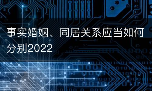 事实婚姻、同居关系应当如何分别2022