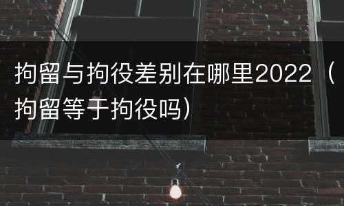 拘留与拘役差别在哪里2022（拘留等于拘役吗）