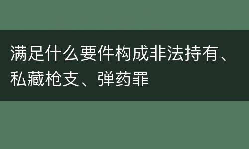 满足什么要件构成非法持有、私藏枪支、弹药罪