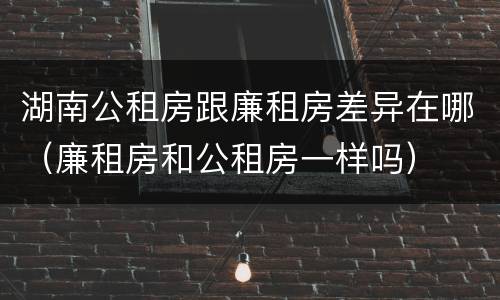 湖南公租房跟廉租房差异在哪（廉租房和公租房一样吗）