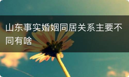 山东事实婚姻同居关系主要不同有啥
