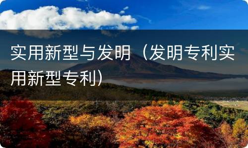 实用新型与发明（发明专利实用新型专利）