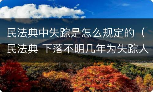 民法典中失踪是怎么规定的（民法典 下落不明几年为失踪人）