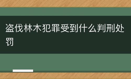 盗伐林木犯罪受到什么判刑处罚