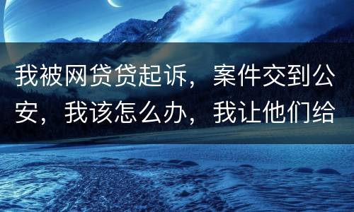 我被网贷贷起诉，案件交到公安，我该怎么办，我让他们给我的亲人道歉