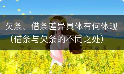 欠条、借条差异具体有何体现（借条与欠条的不同之处）