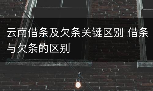 云南借条及欠条关键区别 借条与欠条的区别