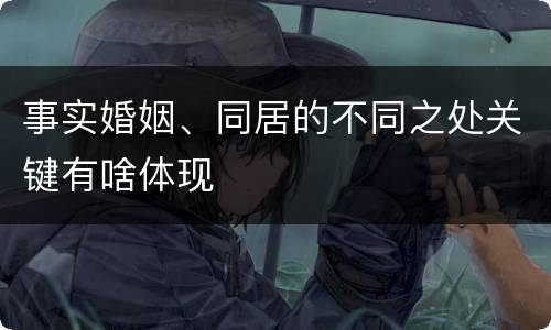 事实婚姻、同居的不同之处关键有啥体现