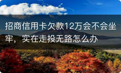 招商信用卡欠款12万会不会坐牢，实在走投无路怎么办