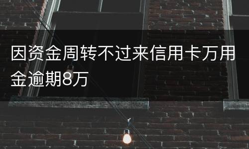 因资金周转不过来信用卡万用金逾期8万
