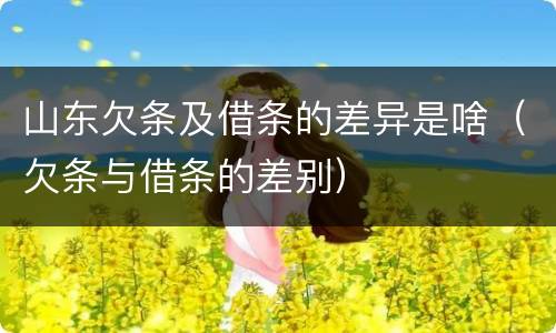 山东欠条及借条的差异是啥（欠条与借条的差别）