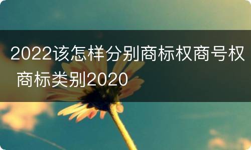 2022该怎样分别商标权商号权 商标类别2020