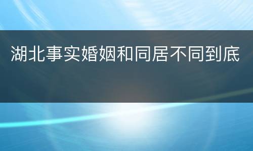 湖北事实婚姻和同居不同到底